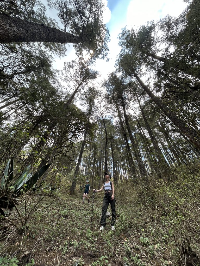 mas-montana-hiking-sierra-norte-oaxaca-006