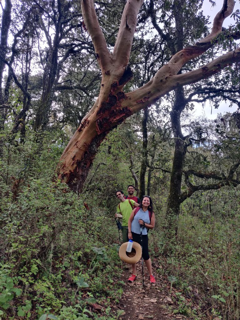 mas-montana-hiking-sierra-norte-oaxaca-009