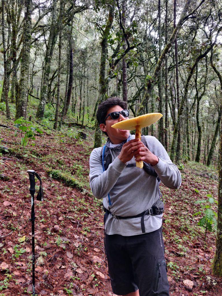 mas-montana-hiking-sierra-norte-oaxaca-014