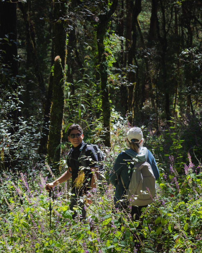 mas-montana-hiking-sierra-norte-oaxaca-024