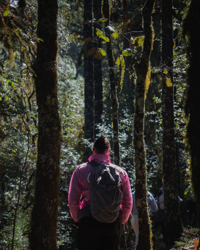 mas-montana-hiking-sierra-norte-oaxaca-026
