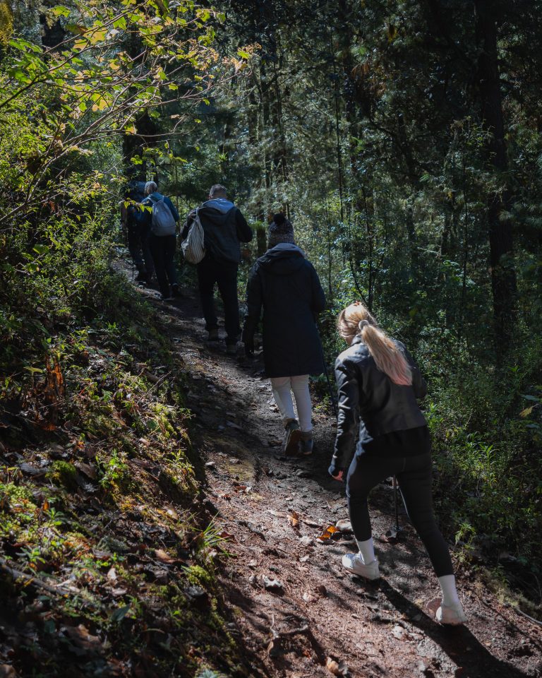 mas-montana-hiking-sierra-norte-oaxaca-027