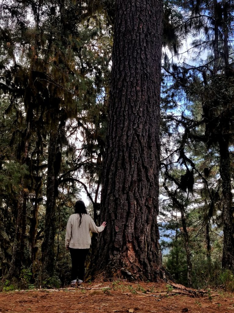 mas-montana-hiking-sierra-norte-oaxaca-032