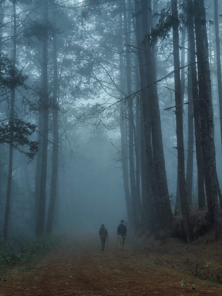mas-montana-hiking-sierra-norte-oaxaca-033