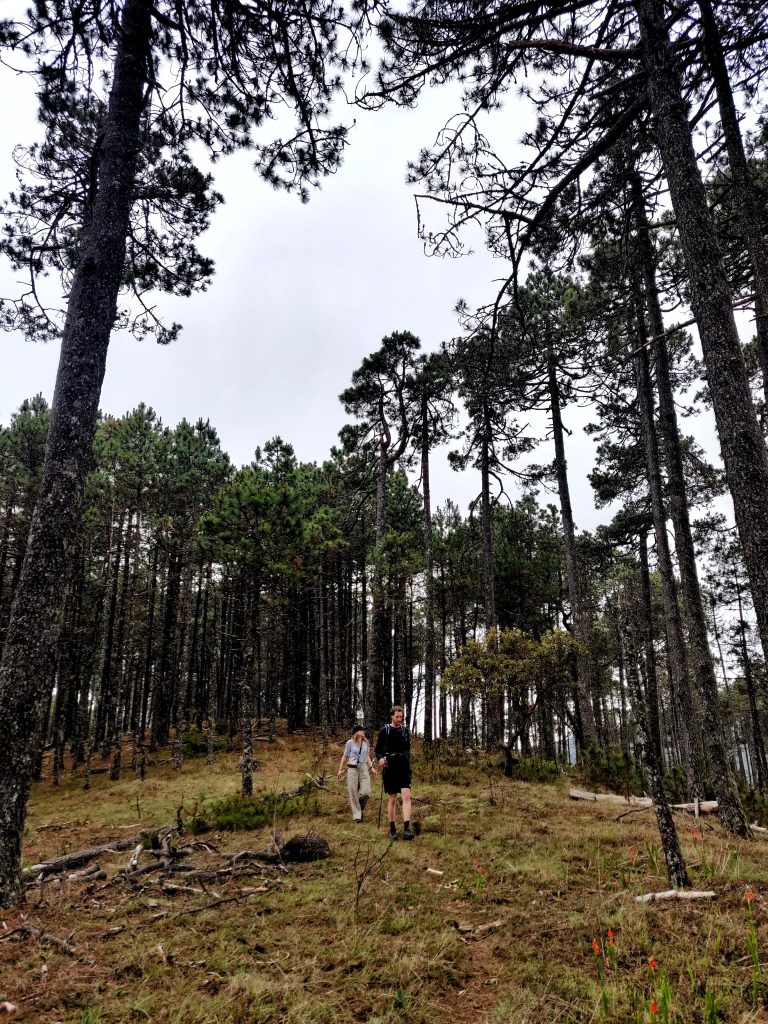 mas-montana-hiking-sierra-norte-oaxaca-037