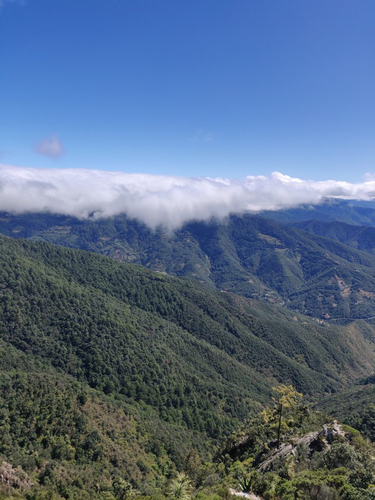 mas-montana-full-mtb-tour-sierra-norte-005