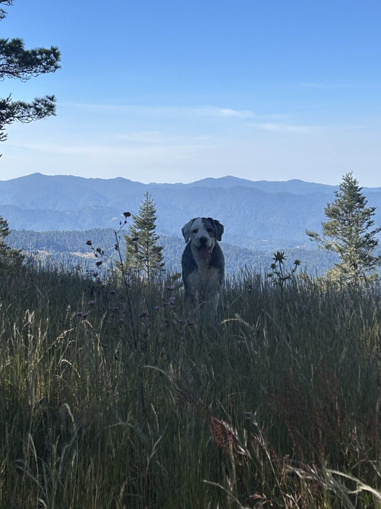 mas-montana-hiking-sierra-norte-003