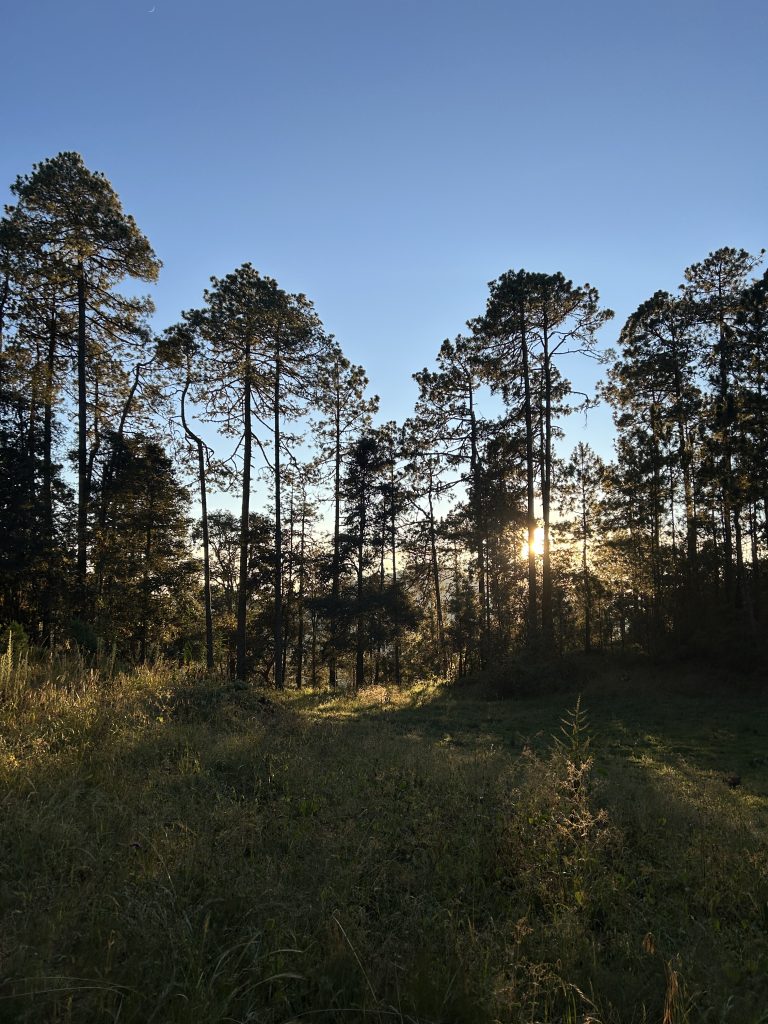 mas-montana-hiking-sierra-norte-007