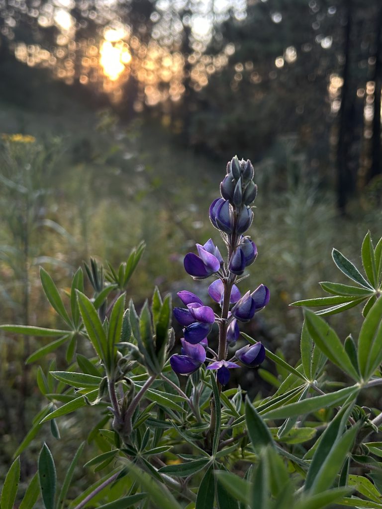 mas-montana-hiking-sierra-norte-008