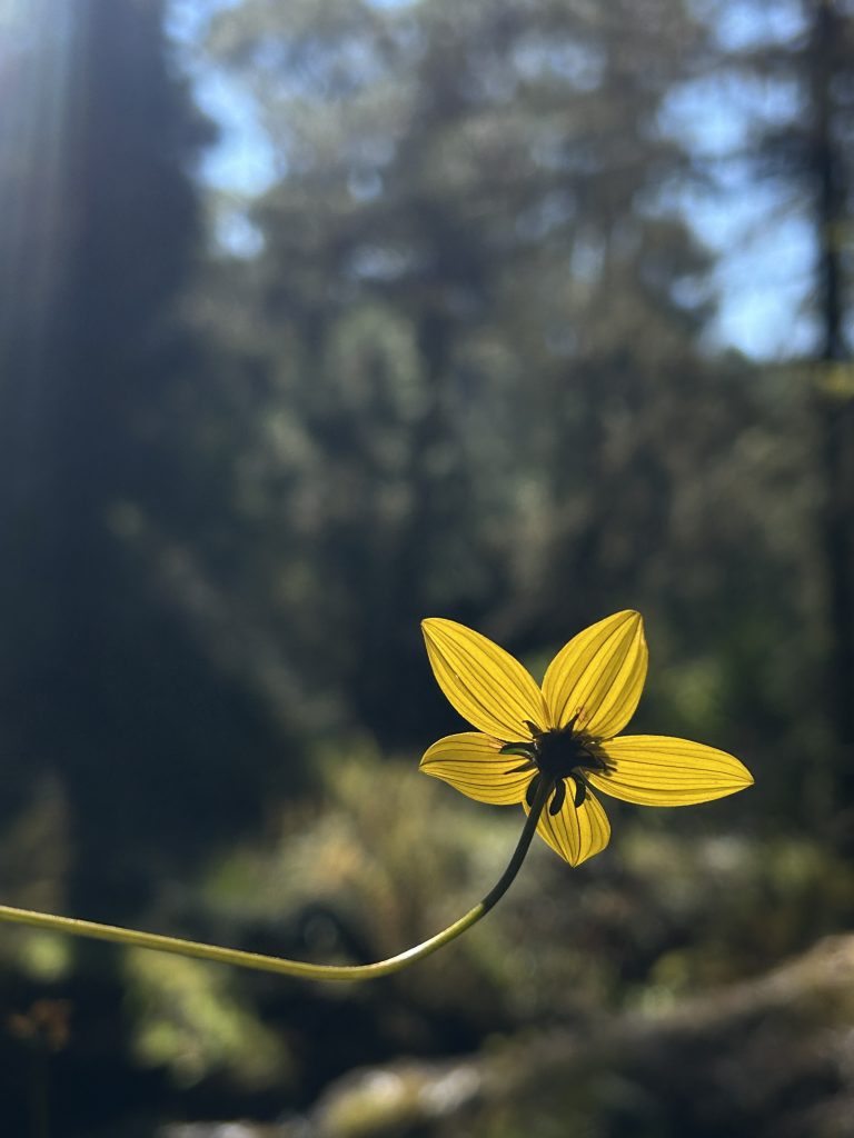 mas-montana-hiking-sierra-norte-009