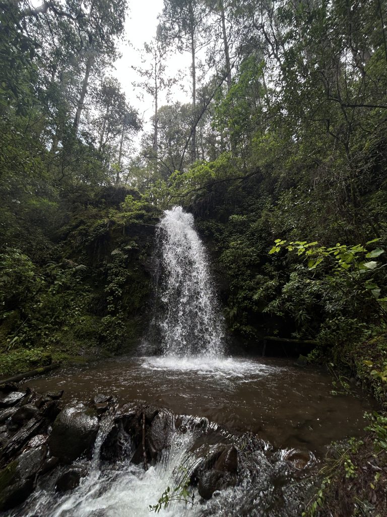 mas-montana-hiking-sierra-norte-015