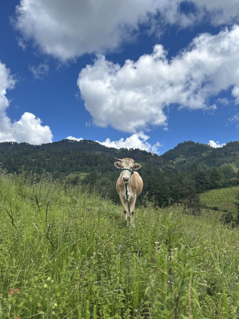 mas-montana-hiking-sierra-norte-017