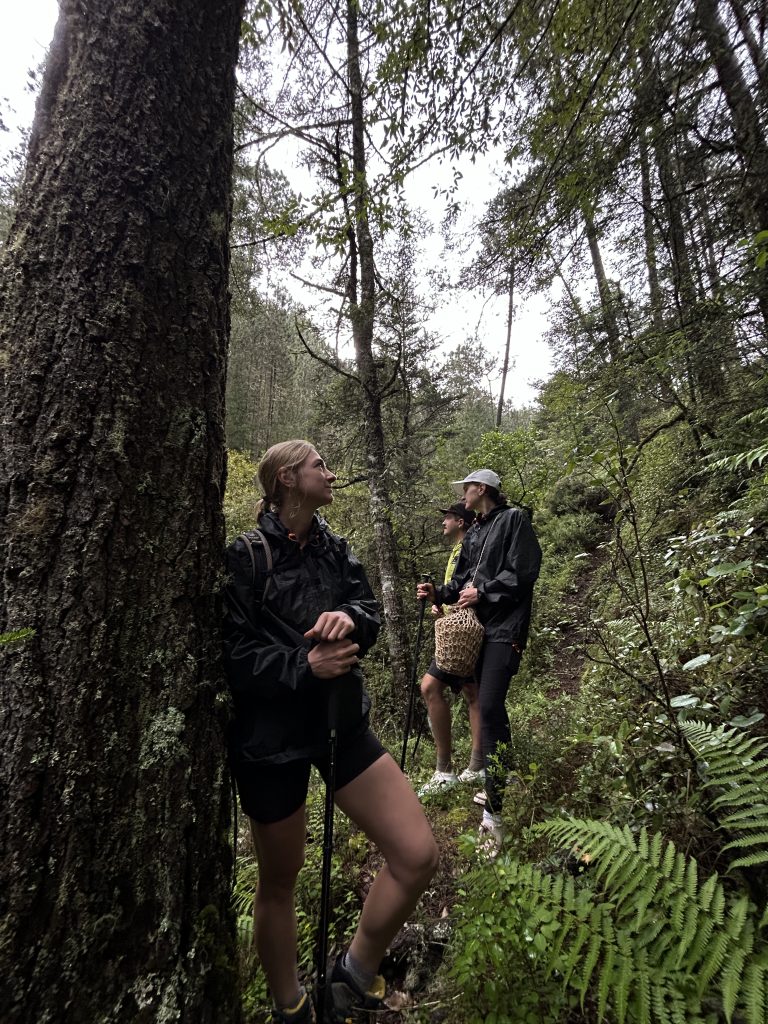 mas-montana-hiking-sierra-norte-026